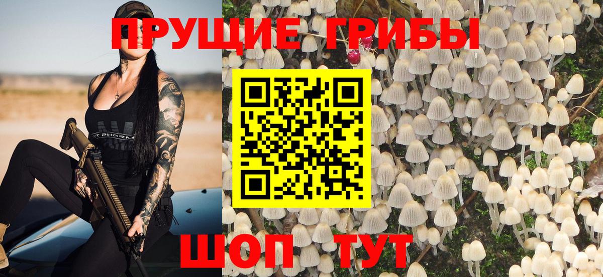 Галлюциногенные грибы прущие грибы Борзя