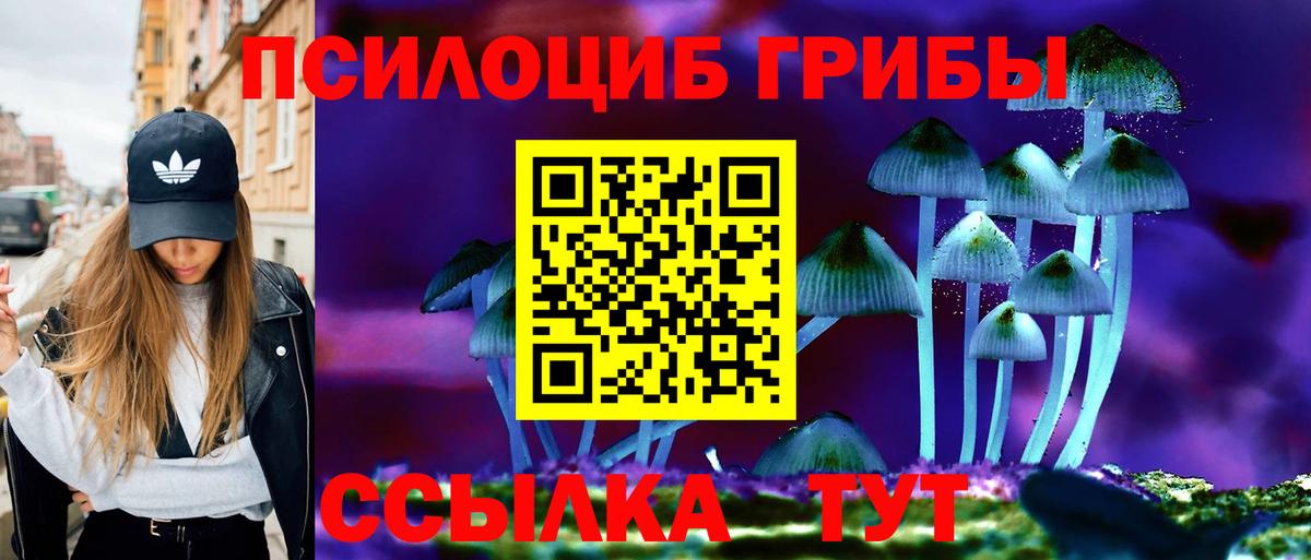 Борзя  Галлюциногенные грибы мухоморы  Вход с VPN 